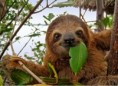 /album/fotogaleria-panama/panama-96-jpg1/